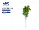 Plantas decorativas, Hierba monje grande de 3 puntas, 55cm