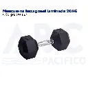 Mancuerna hexagonal laminada 20KG