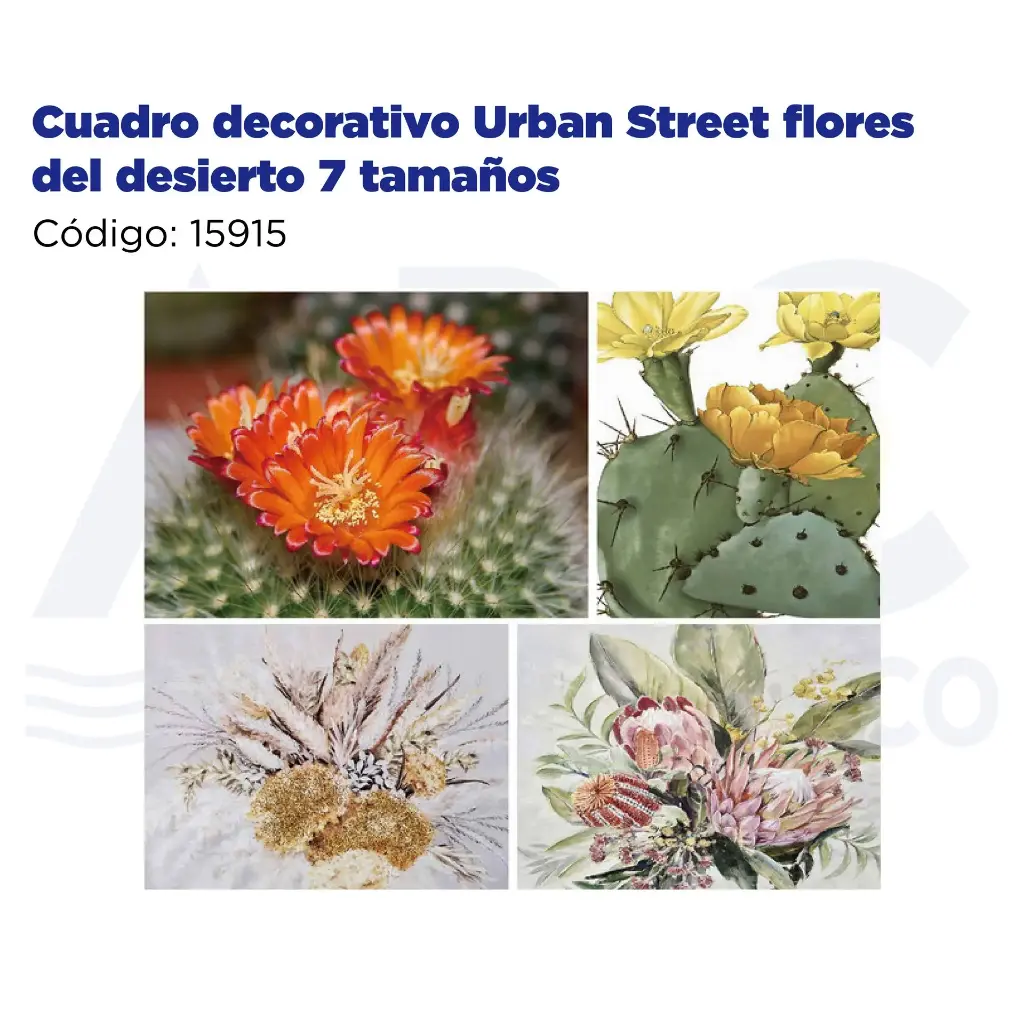 [15915] Cuadro decorativo Urban Street flores del desierto 7 tamaños