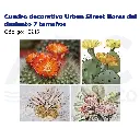 [15915] Cuadro decorativo Urban Street flores del desiento 7 tamaños