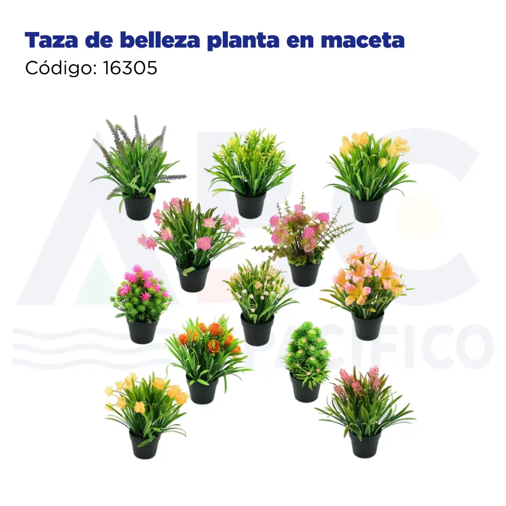 Taza de belleza planta en maceta