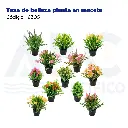 Taza de belleza planta en maceta
