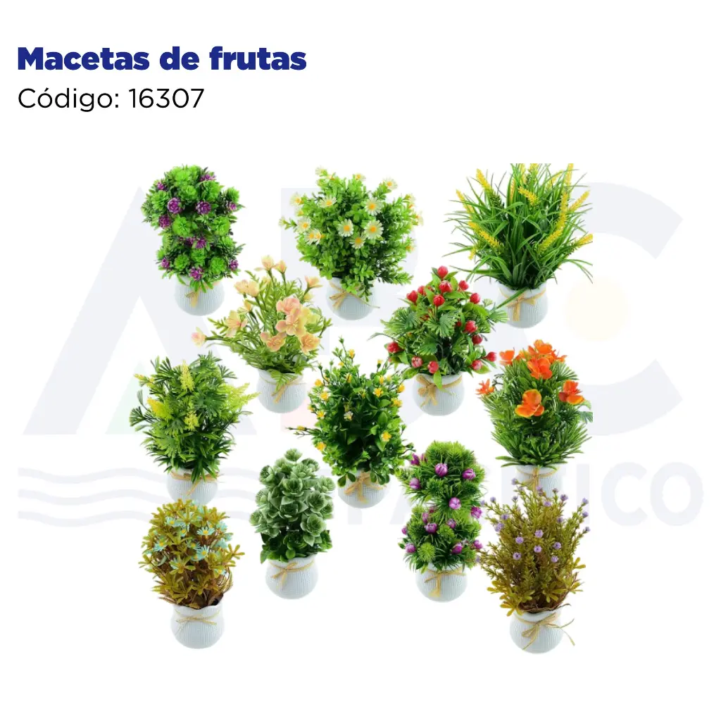 Macetas de frutas