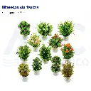 Macetas de frutas