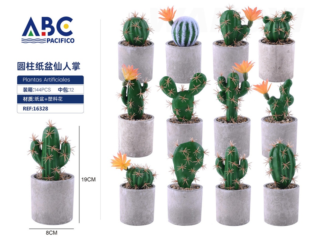 Cactus cilíndrico en maceta de papel
