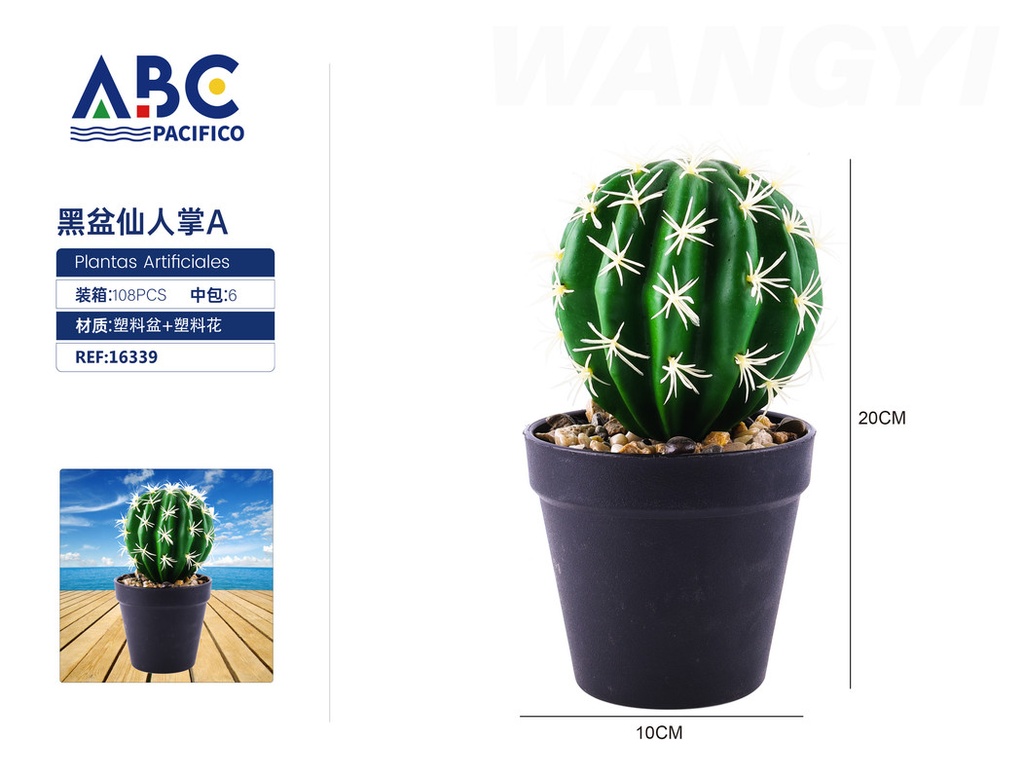 Cactus maceta negra A