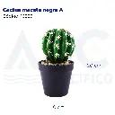 Cactus maceta negra A