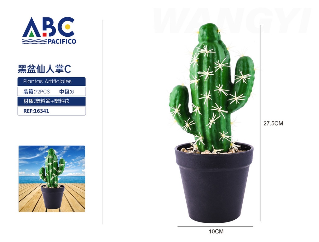 Cactus maceta negra C