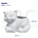 Maceta