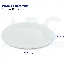 Plato de Cerámica