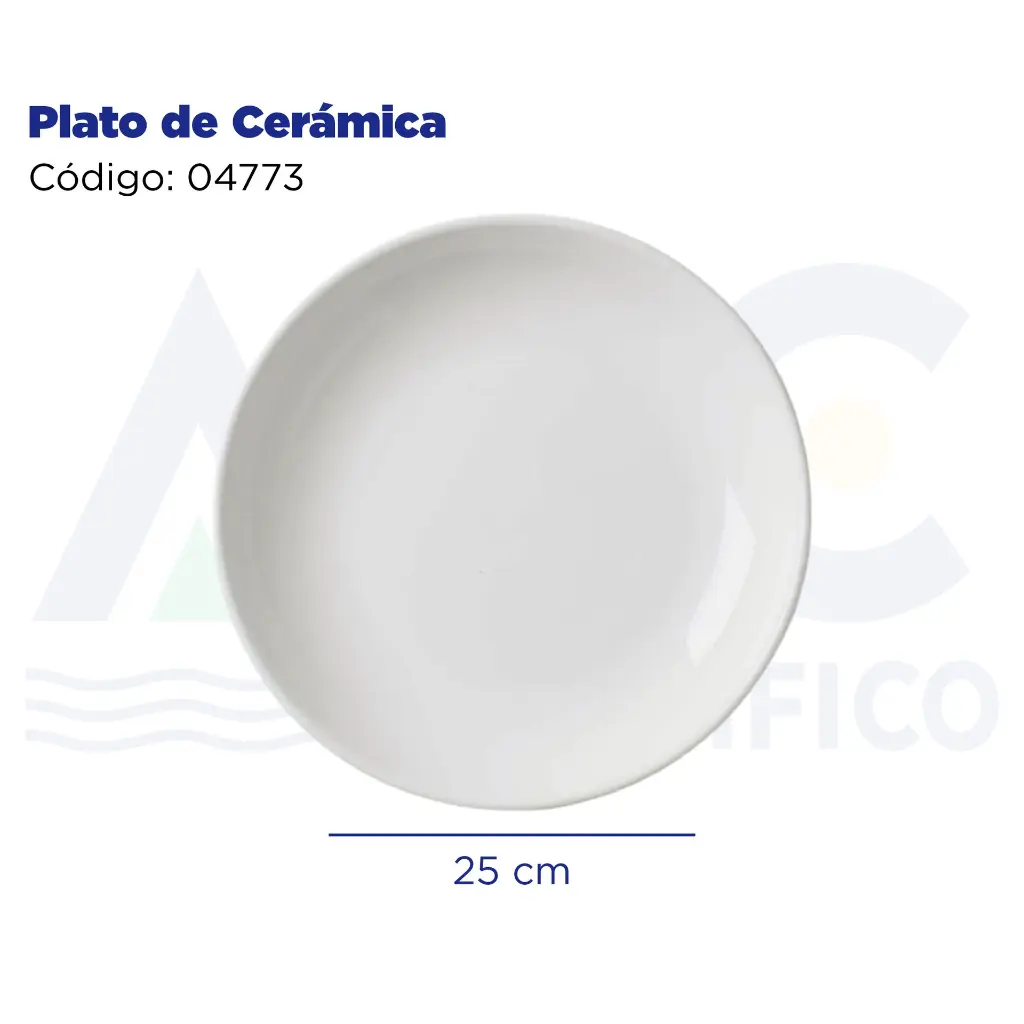 [04773] Plato de Cerámica