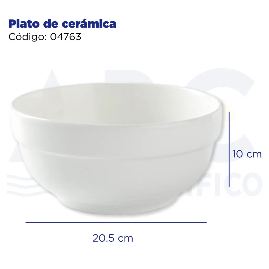 Plato de cerámica 