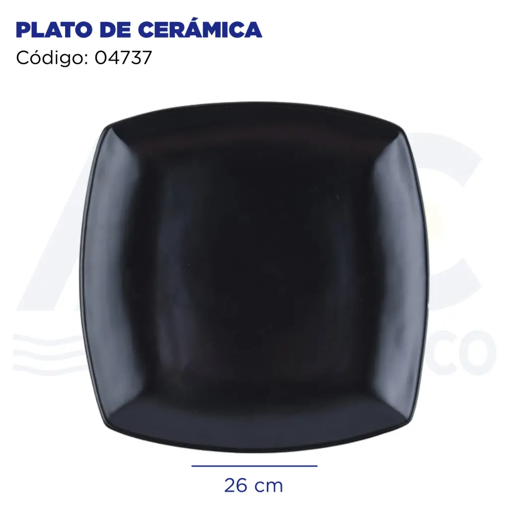 PLATO DE CERÁMICA