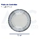 Plato de Cerámica
