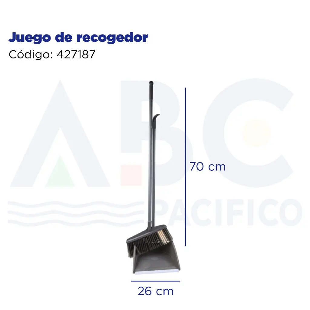 Juego de recogedor