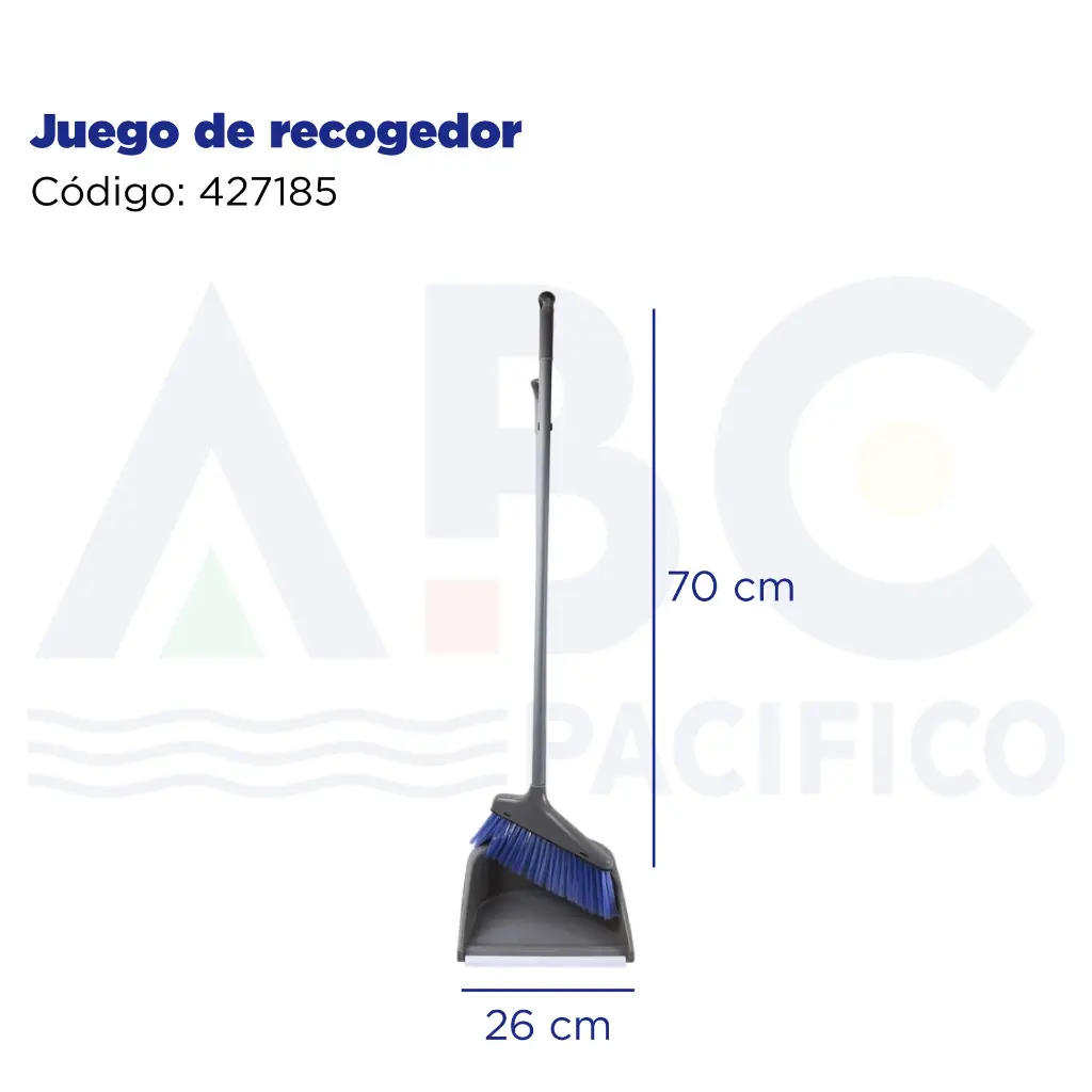 Juego de recogedor