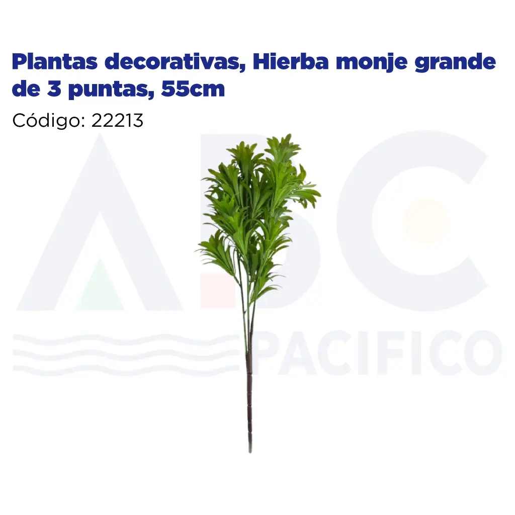 Plantas decorativas, Hierba monje grande de 3 puntas, 55cm