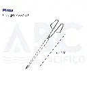 Pinza