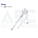 Pinza