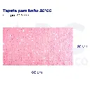 Tapete para baño 36*66