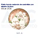 Plato hondo redondo de cerámica con diseño 22.5cm