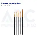 Pinceles redondo, 5pzs