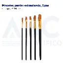 Pinceles punta redondeada, 5pzs