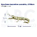 Escultura decorativa cocodrilo, 43*16cm