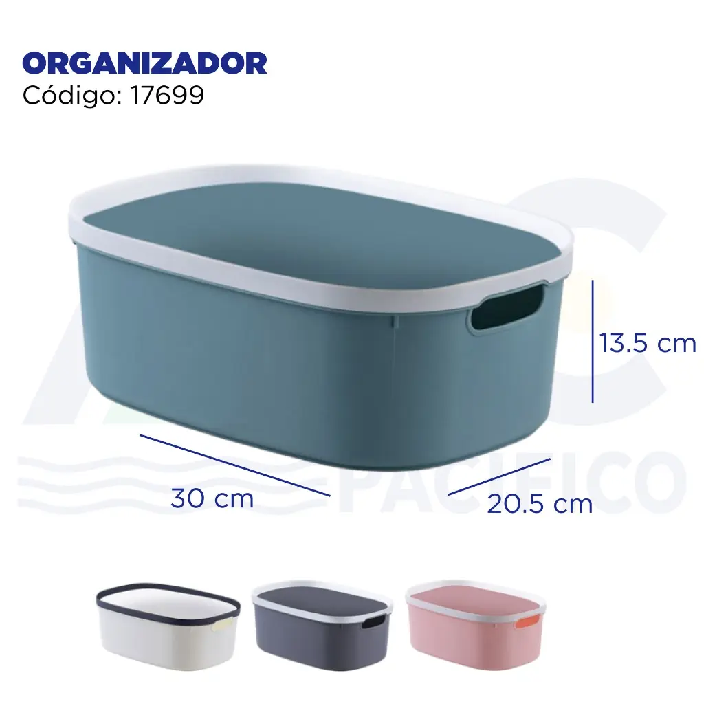 ORGANIZADOR