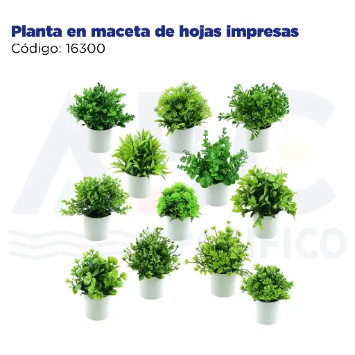 [16300] Planta en maceta de hojas impresas