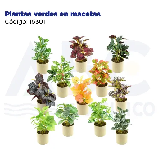 [16301] Plantas verdes en macetas