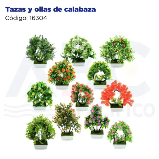 [16304] Tazas y ollas de calabaza