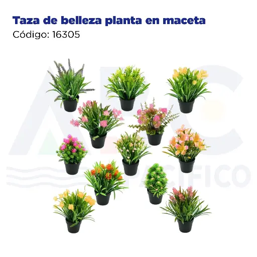 [16305] Taza de belleza planta en maceta