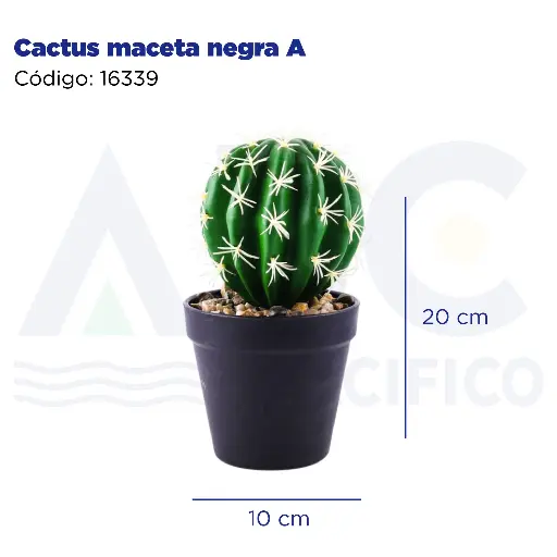 [16339] Cactus maceta negra A