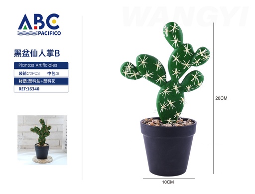 [16340] Cactus maceta negra B