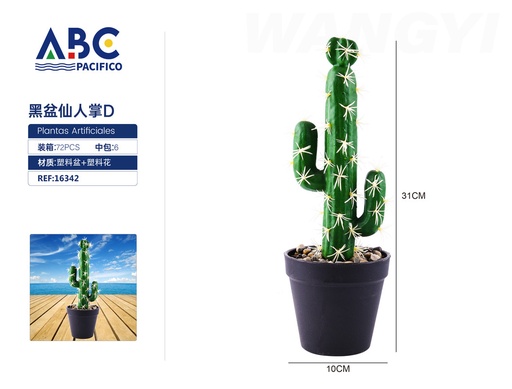 [16342] Cactus maceta negra D