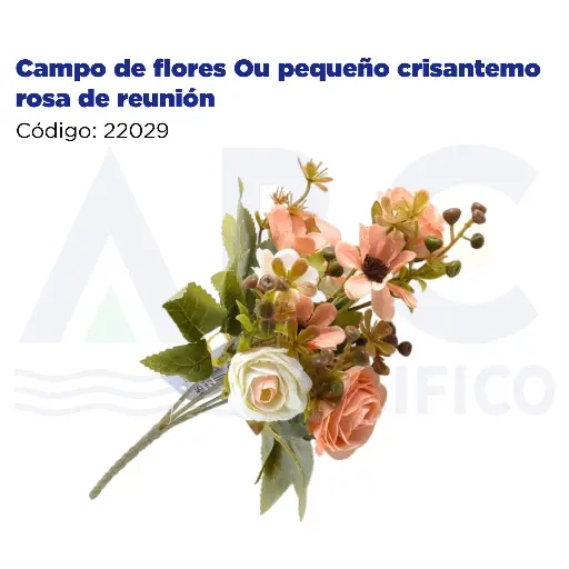 [22029] Campo de flores Ou pequeño crisantemo rosa de reunión