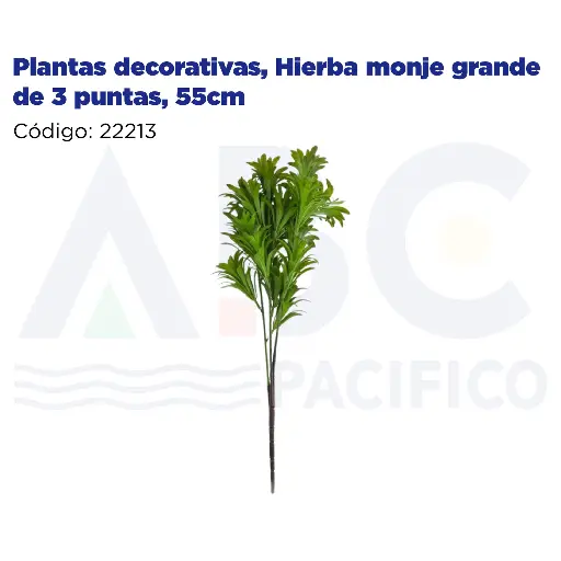 [22213] Plantas decorativas, Hierba monje grande de 3 puntas, 55cm