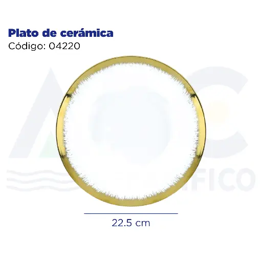 [04220] [04220] Plato de cerámica