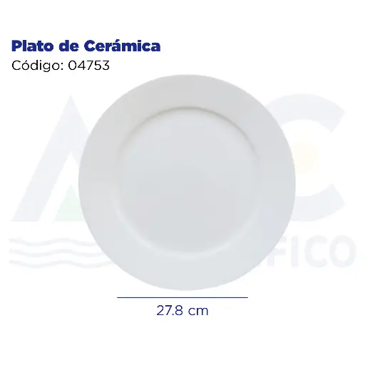 [04753] [04753] Plato de Cerámica
