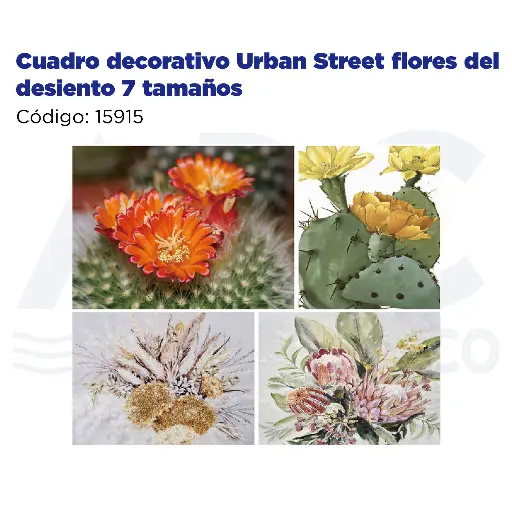 [15915] [15915] Cuadro decorativo Urban Street flores del desiento 7 tamaños