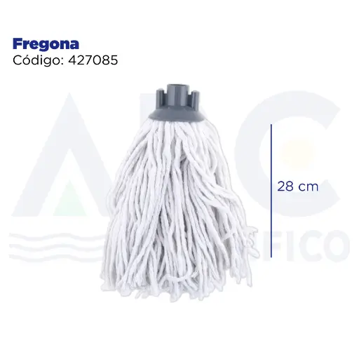 [427085] Fregona