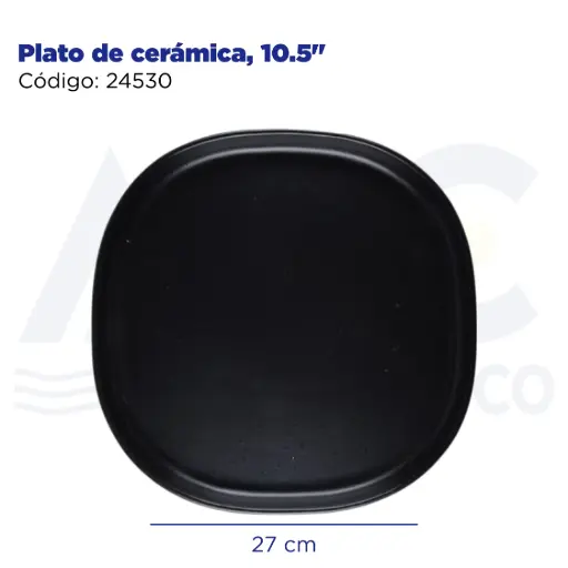 [24530] Plato de cerámica, 10.5"