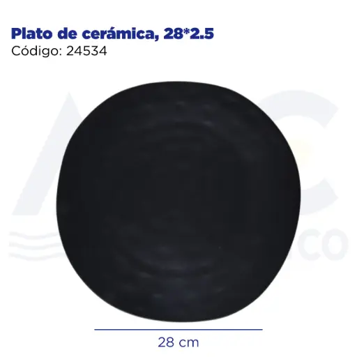 [24534] Plato de cerámica, 28*2.5